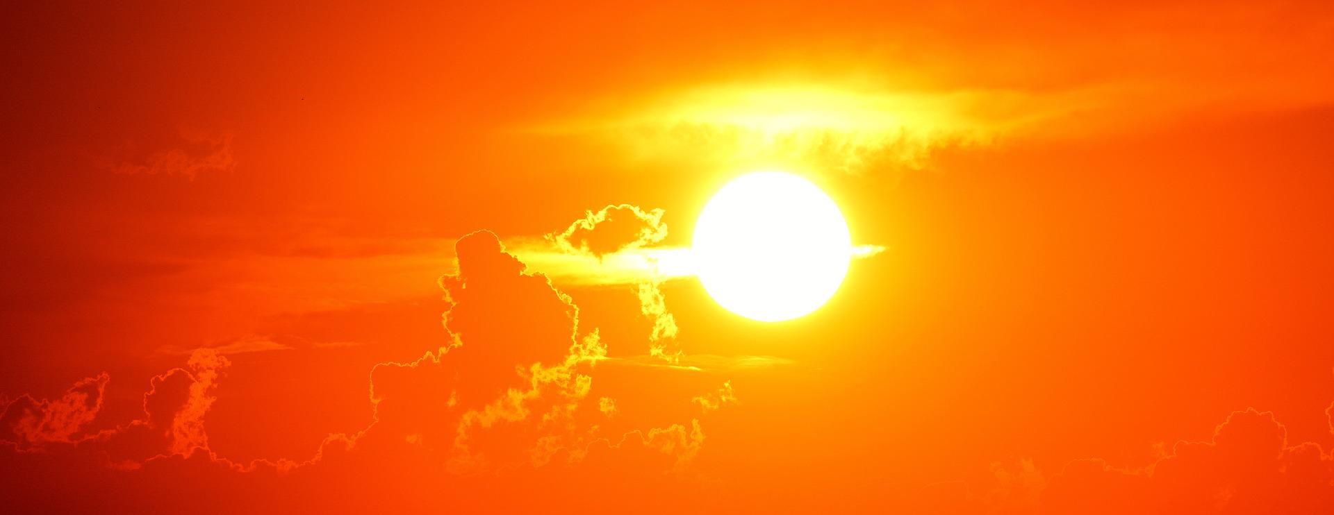 canicule