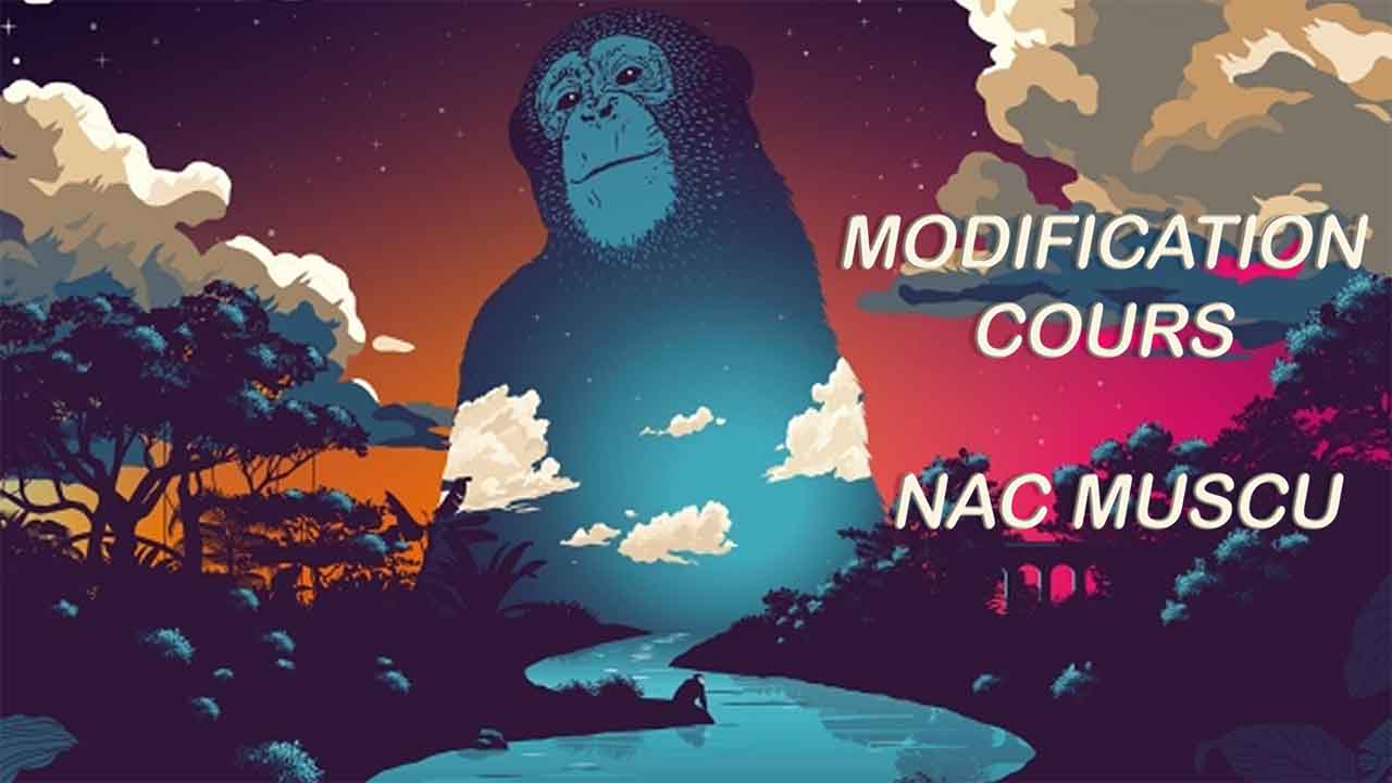 Nac Muscu Nuit de L'Erdre